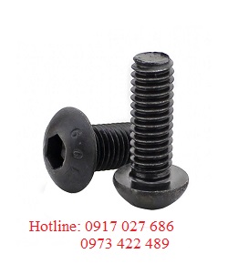 Alternative view of Bu lông lục giác chìm đầu chỏm cầu cấp bền 10.9