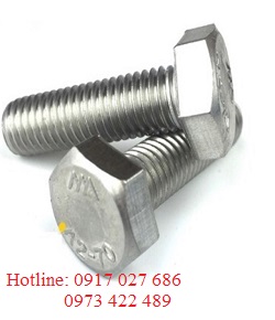 Alternative view of Bu lông inox đầu tròn cổ vuông - DIN 603
