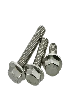 Alternative view of Bulong inox liền long đen - DIN 6921