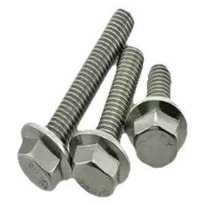 Bulong inox liền long đen - DIN 6921